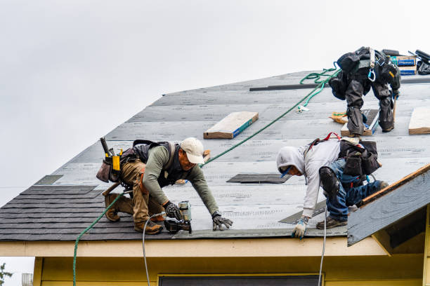 Professional Gutter Installation technician working in Tappahannock, VA